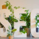 Ben Stace Semantic SEO Case Studies: How Context Beats Keywords
