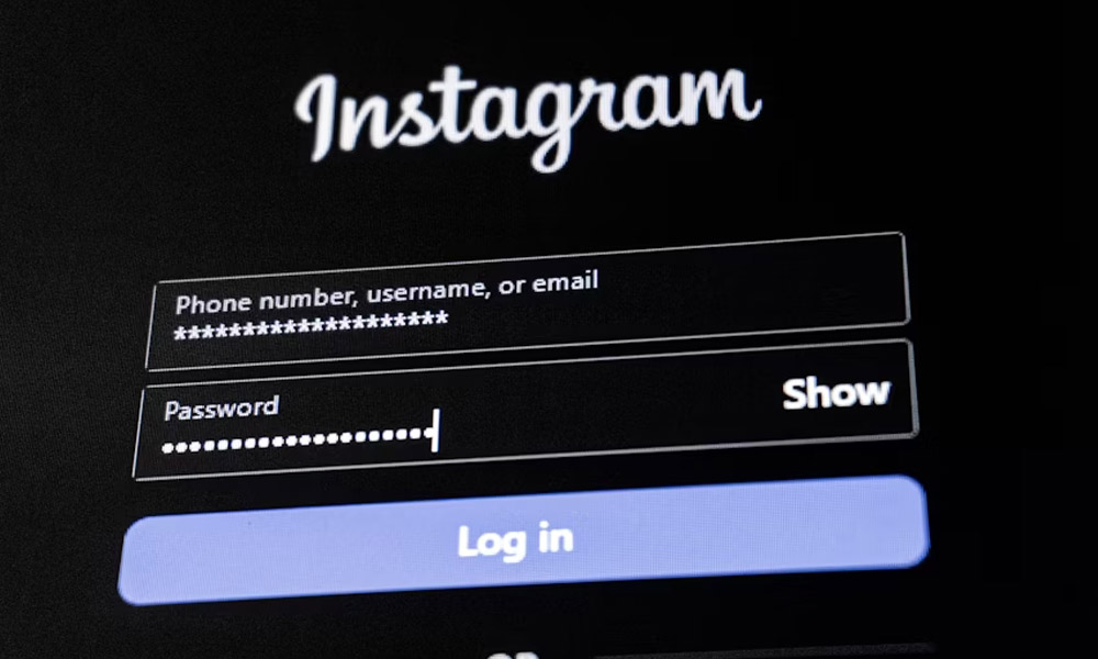 Is tomleonessa679 Just a Name - Or Something Bigger?