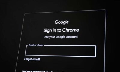 What Is bigcokc69420? The Funny Username Everyone’s Talking About