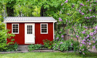 Small Garden Sheds