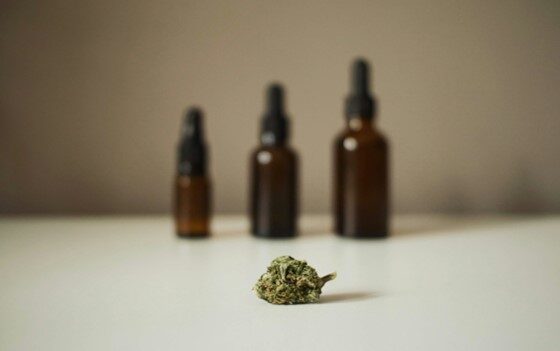 The Long Way In: Why Medical Cannabis Isn’t a Fast Track