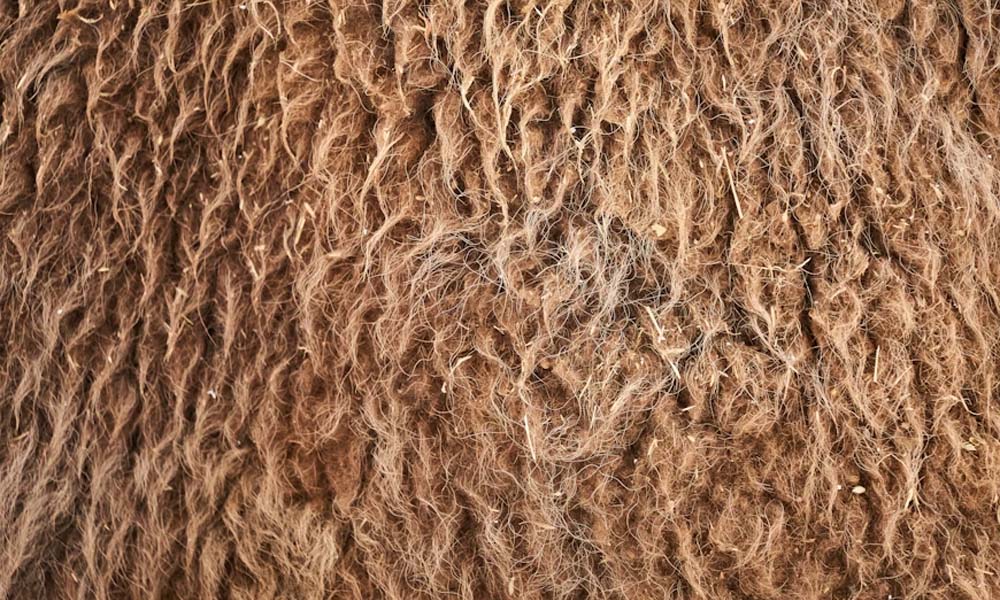 Wollmatten Explained: The Natural Wool Mats Everyone’s Talking About