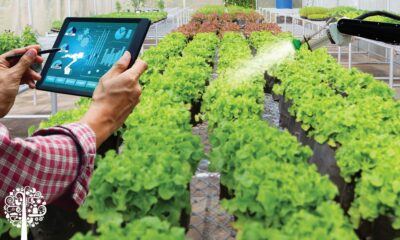 Garden Maintenance Across the UK