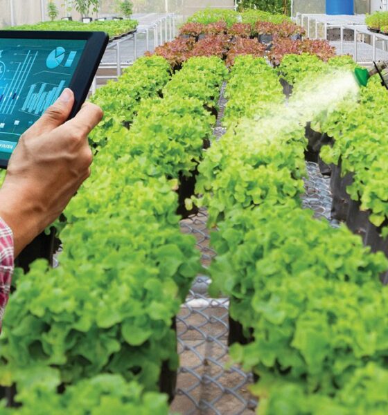 Garden Maintenance Across the UK