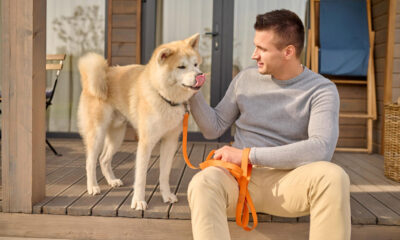 PawChamp Review: The Smart Dog Training Platform Changing the Way Owners Raise Happy, Obedient Dogs