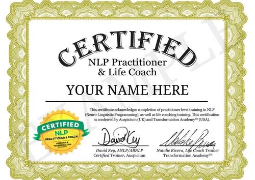 NLP Practitioner