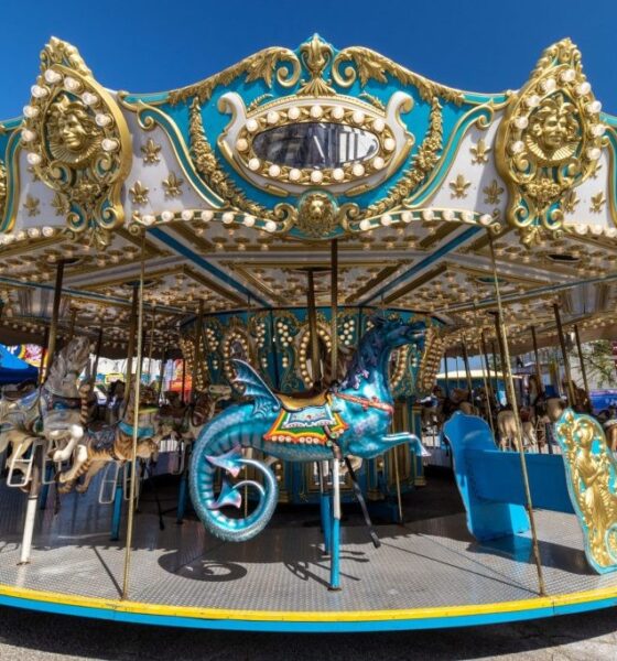 Carousel Manufacturer and Ferris Wheel for Sale: Top Amusement Park Rides