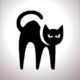 BlackCat
