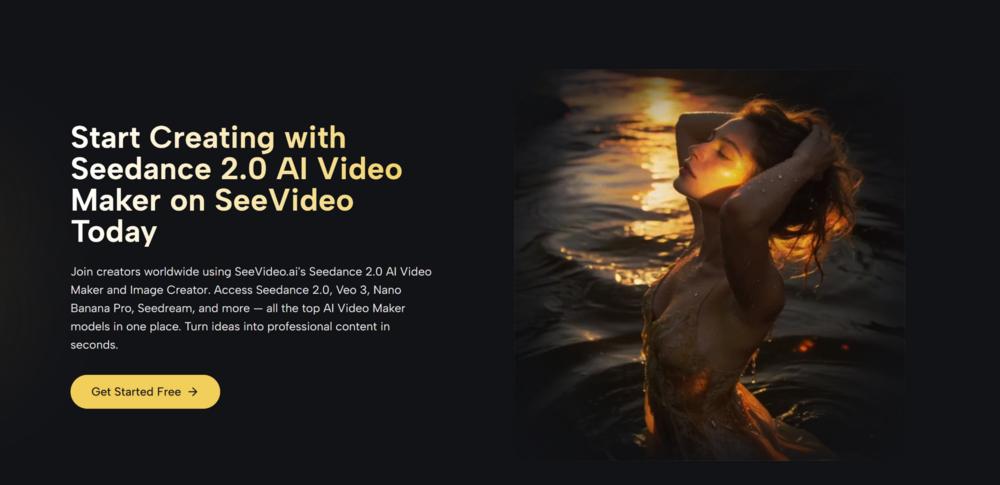 Which Free Seedance 2.0 Platform Fits Your Workflow
