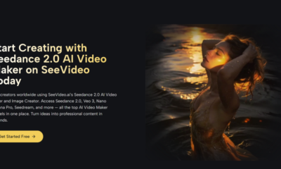 Which Free Seedance 2.0 Platform Fits Your Workflow