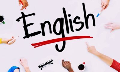 How an IB English oral tutor helps students succeed