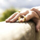 How Divorce Works in the UK: A Guide for First-Time Filers